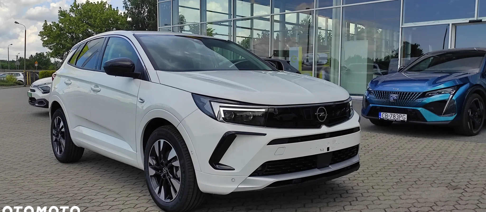 Opel Grandland X cena 139600 przebieg: 3, rok produkcji 2023 z Łobżenica małe 22